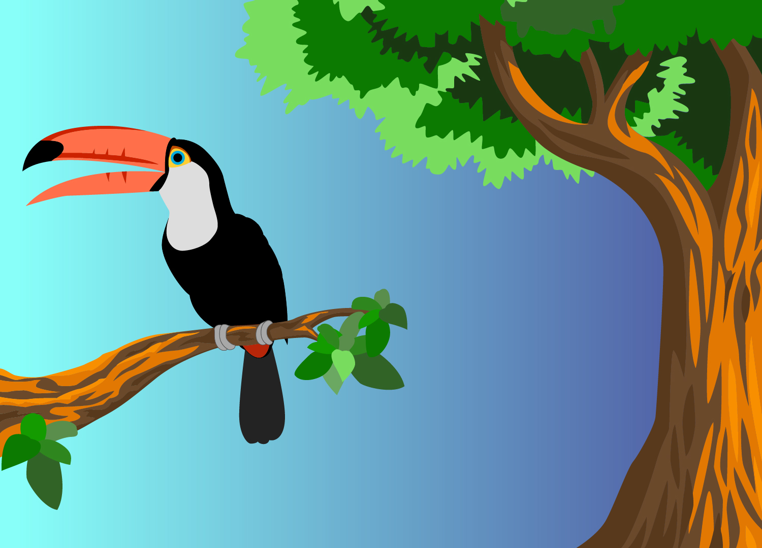 Toucan